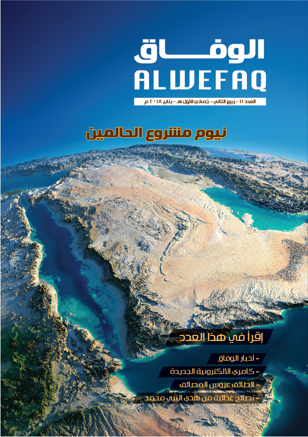 Issue 11